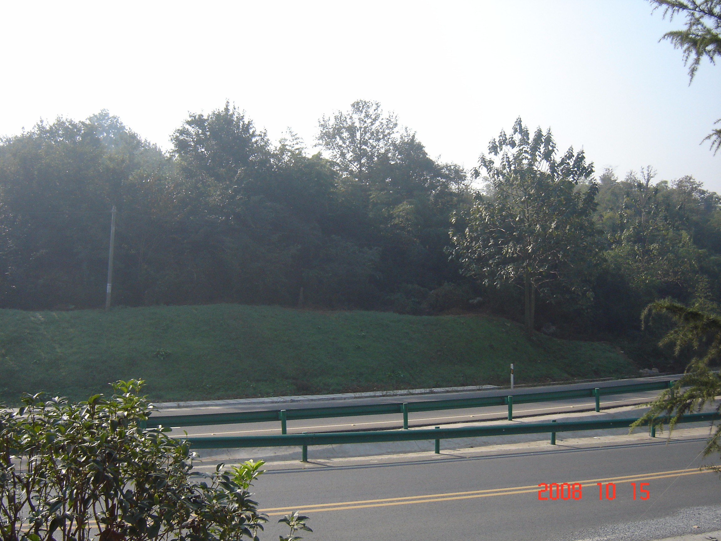 銅陵長江大橋兩側邊坡綠化